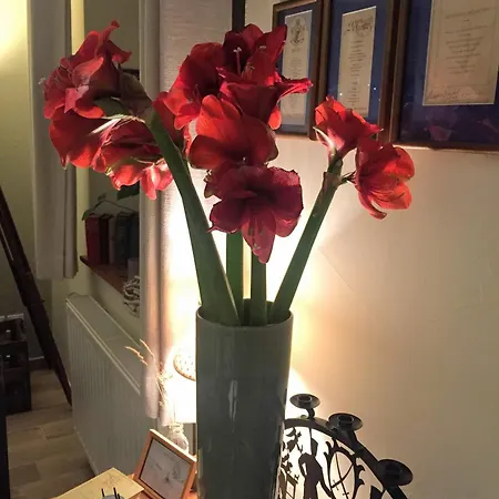 Vendégház La Pierre D'eau 3*