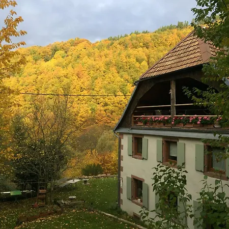 La Pierre D'eau Fréland