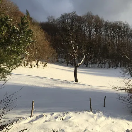 水滴石头旅馆 3* 弗瑞兰