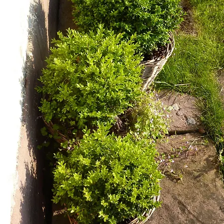 Vendégház La Pierre D'eau 3*