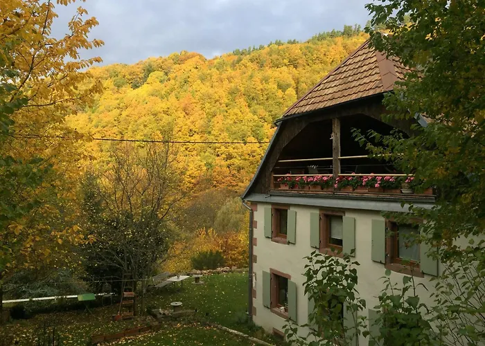 La Pierre D'eau Fréland
