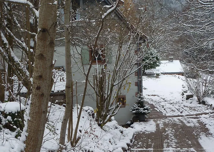 Gasthuis La Pierre D'eau Fréland