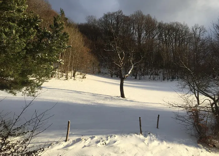 La Pierre D'eau 3* Fréland