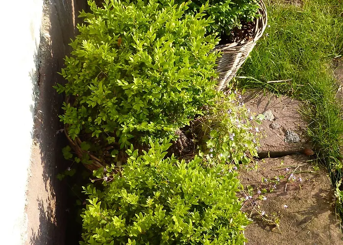 Gasthuis La Pierre D'eau 3*